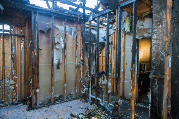 Professional Fire Damage Removal technician working in Barnesville, MN