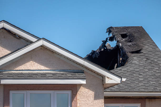 Top rated local Fire Damage Removal specialists in Barnesville, MN